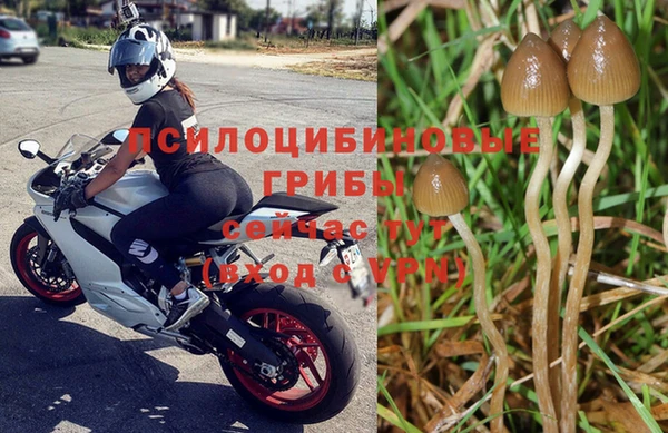 ешки Балахна